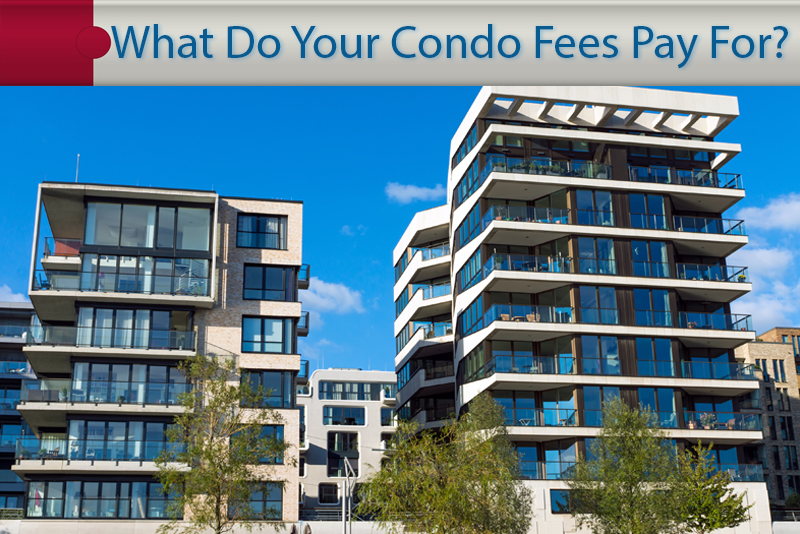 Condo Condo