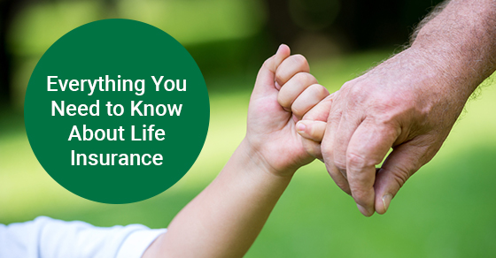 Everything You Need to Know About Life Insurance